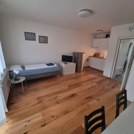 Flataid Apartmenthaus Brauhausstrasse Γκρατς Εξωτερικό φωτογραφία
