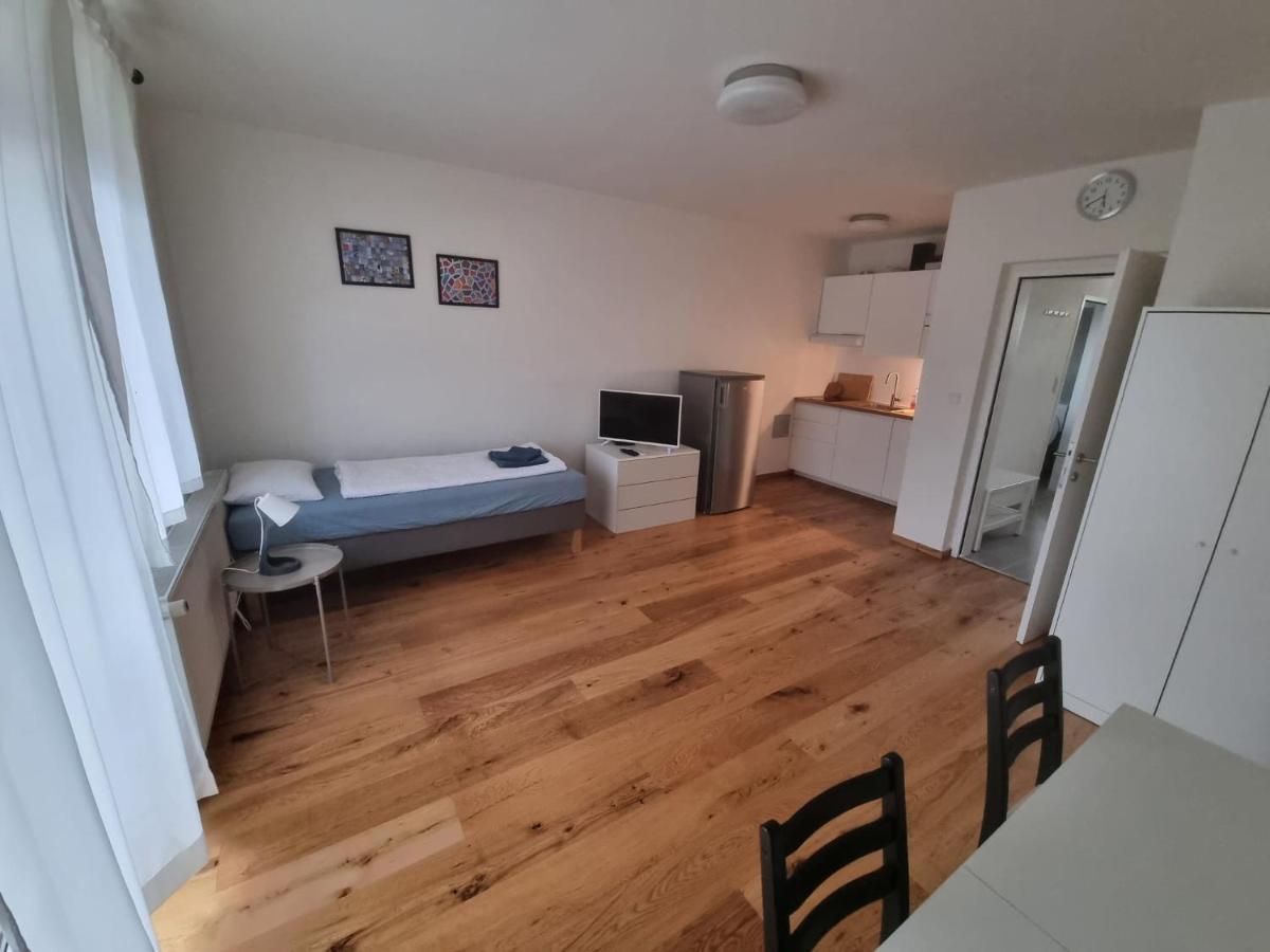 Flataid Apartmenthaus Brauhausstrasse Γκρατς Εξωτερικό φωτογραφία