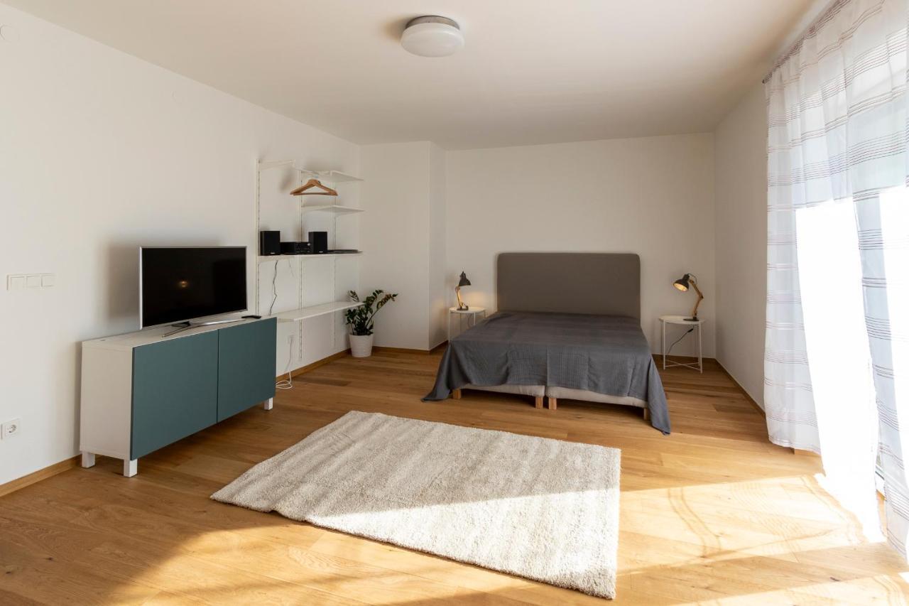 Flataid Apartmenthaus Brauhausstrasse Γκρατς Εξωτερικό φωτογραφία