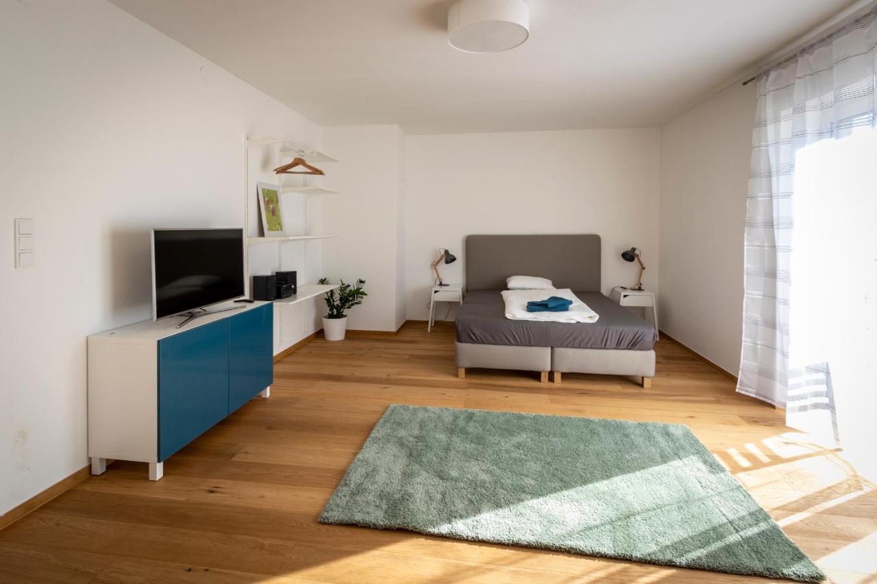Flataid Apartmenthaus Brauhausstrasse Γκρατς Εξωτερικό φωτογραφία